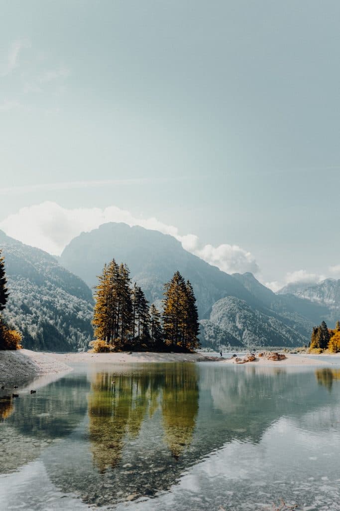 daniel j schwarz Qhnsv Ey2mA unsplash