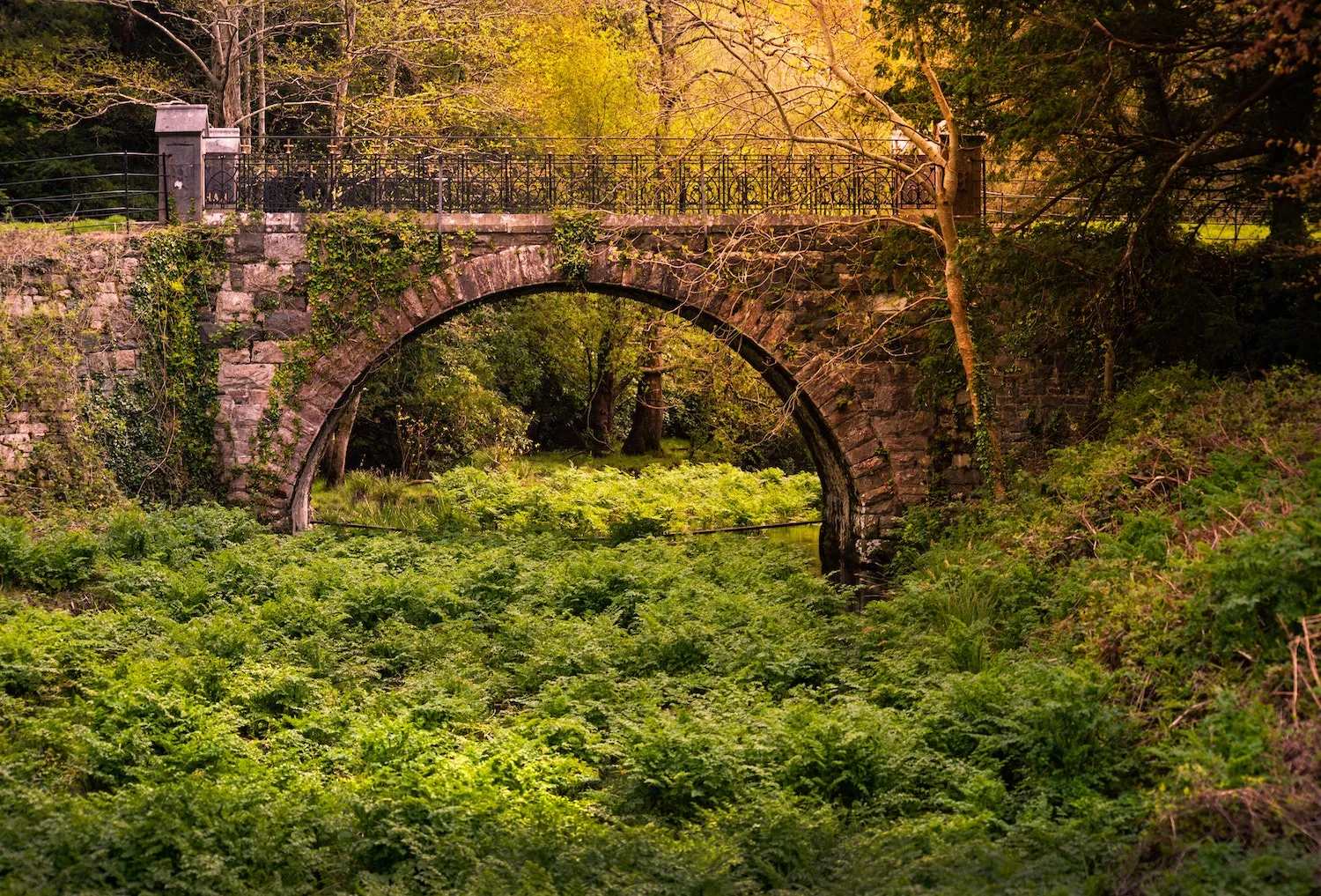 Ireland self-drive honeymoon