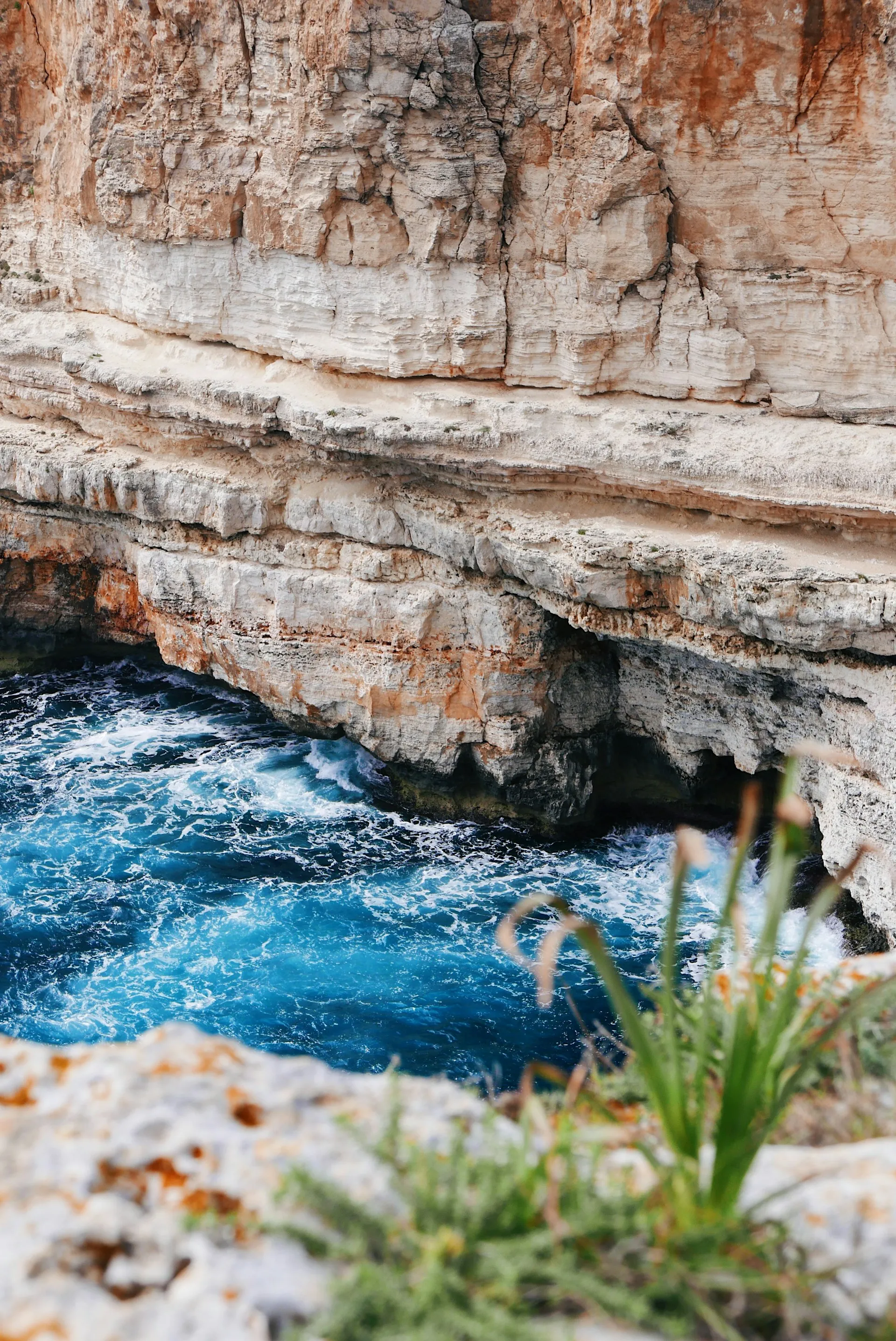 Best of Mediterranean Spain — Barcelona Valencia Mallorca tour
