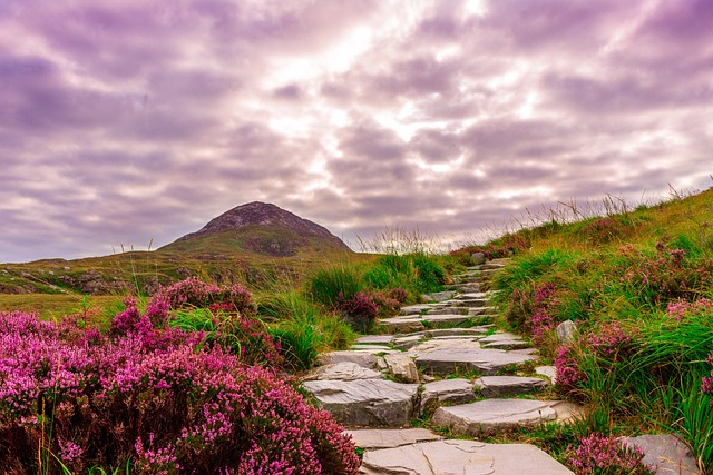 Best of Ireland 8 day tour