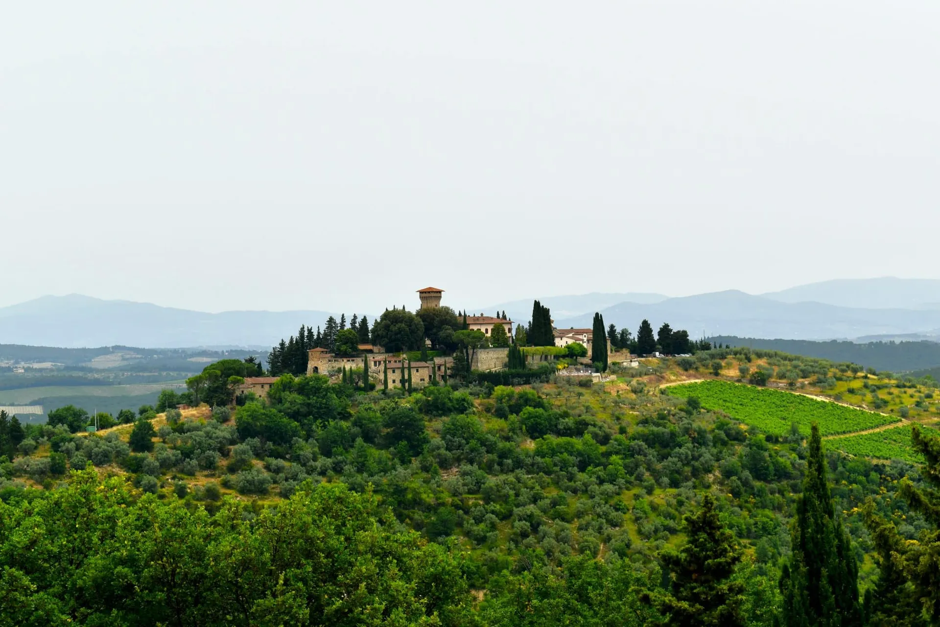 Italy wine tour castles Barolo Brunello — Juniper Tours