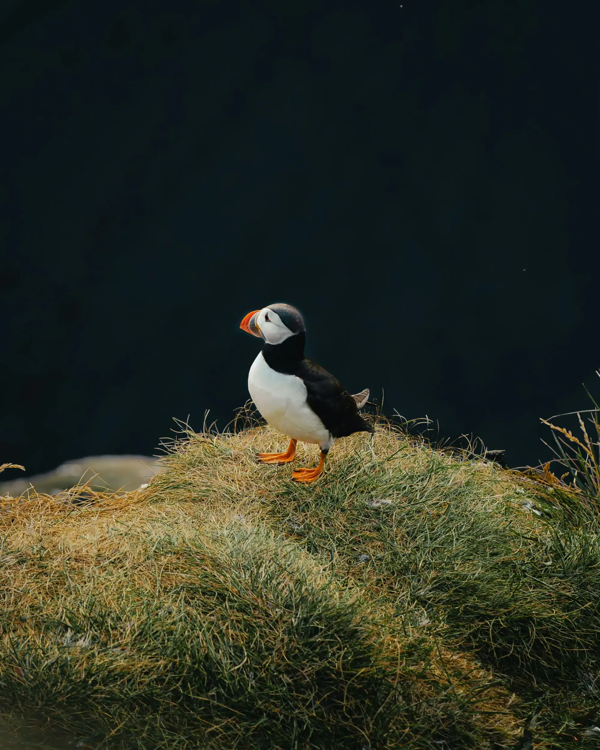 Iceland Highlands Expedition tour — Juniper Tours