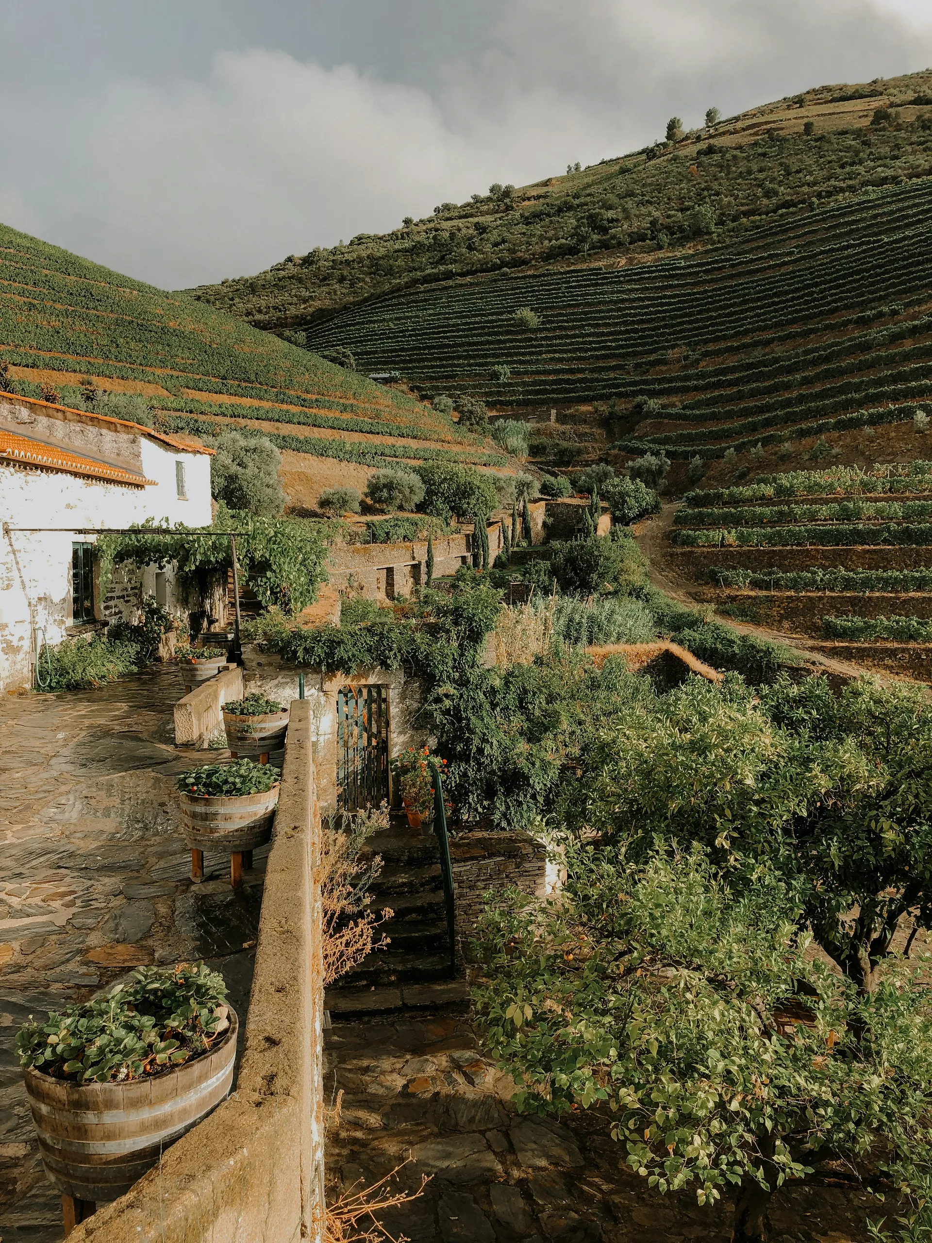 Douro Valley — Portugal honeymoon